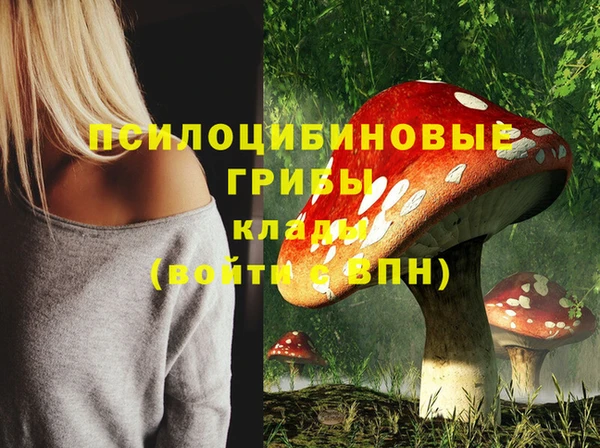ГАЛЛЮЦИНОГЕННЫЕ ГРИБЫ Новозыбков