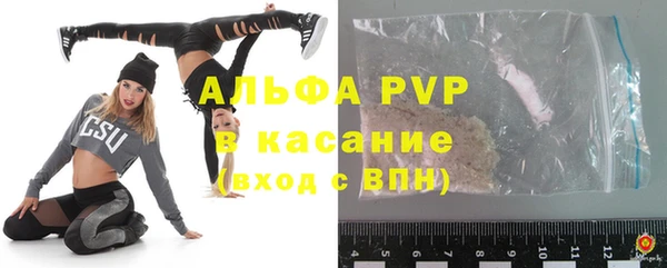 ГАЛЛЮЦИНОГЕННЫЕ ГРИБЫ Новозыбков