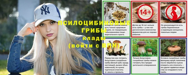 кокс Алексин