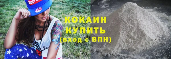 кокс Алексин