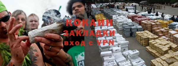 кокс Алексин