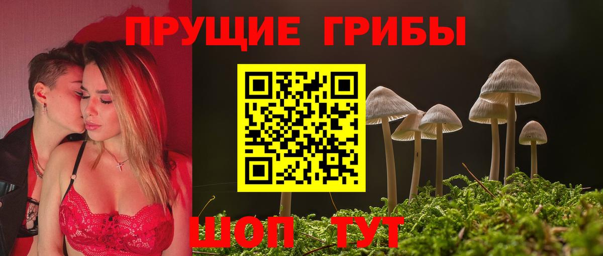 Обнинск  Галлюциногенные грибы мухоморы  Вход с VPN  Псилоцибиновые грибы GOLDEN TEACHER 